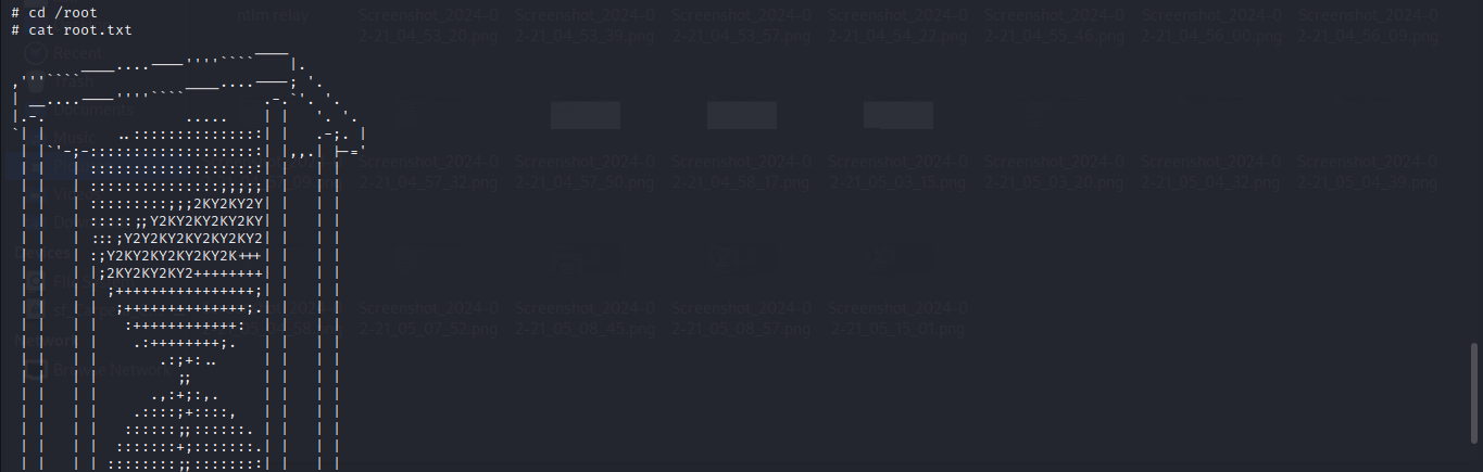 hackable2 rootflag.png